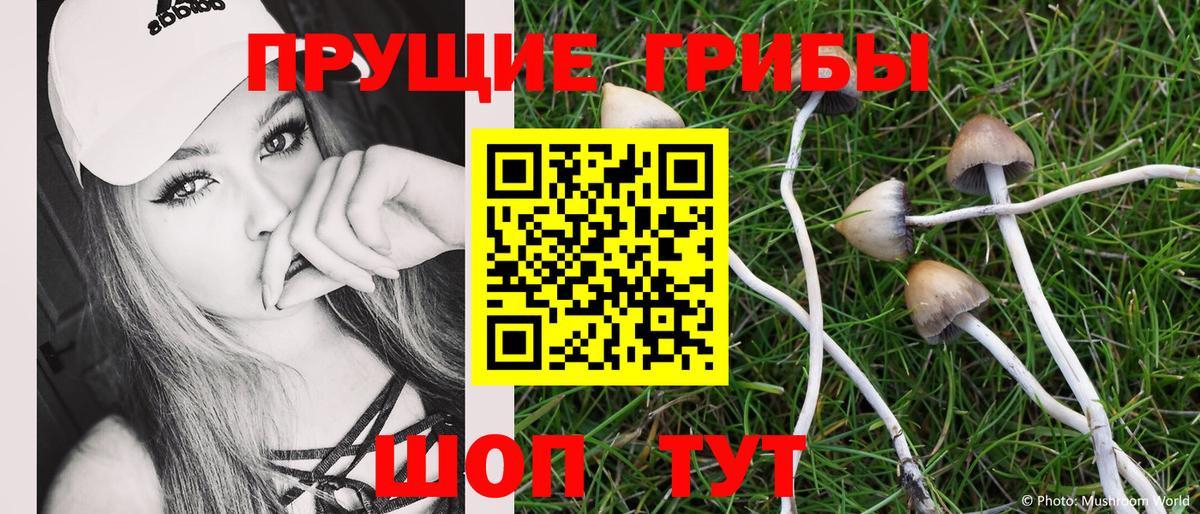 Псилоцибиновые грибы Psilocybine cubensis  Вход с VPN  купить наркотики сайты  Полысаево 