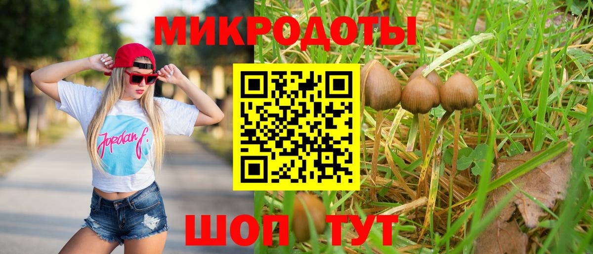Псилоцибиновые грибы прущие грибы Полысаево